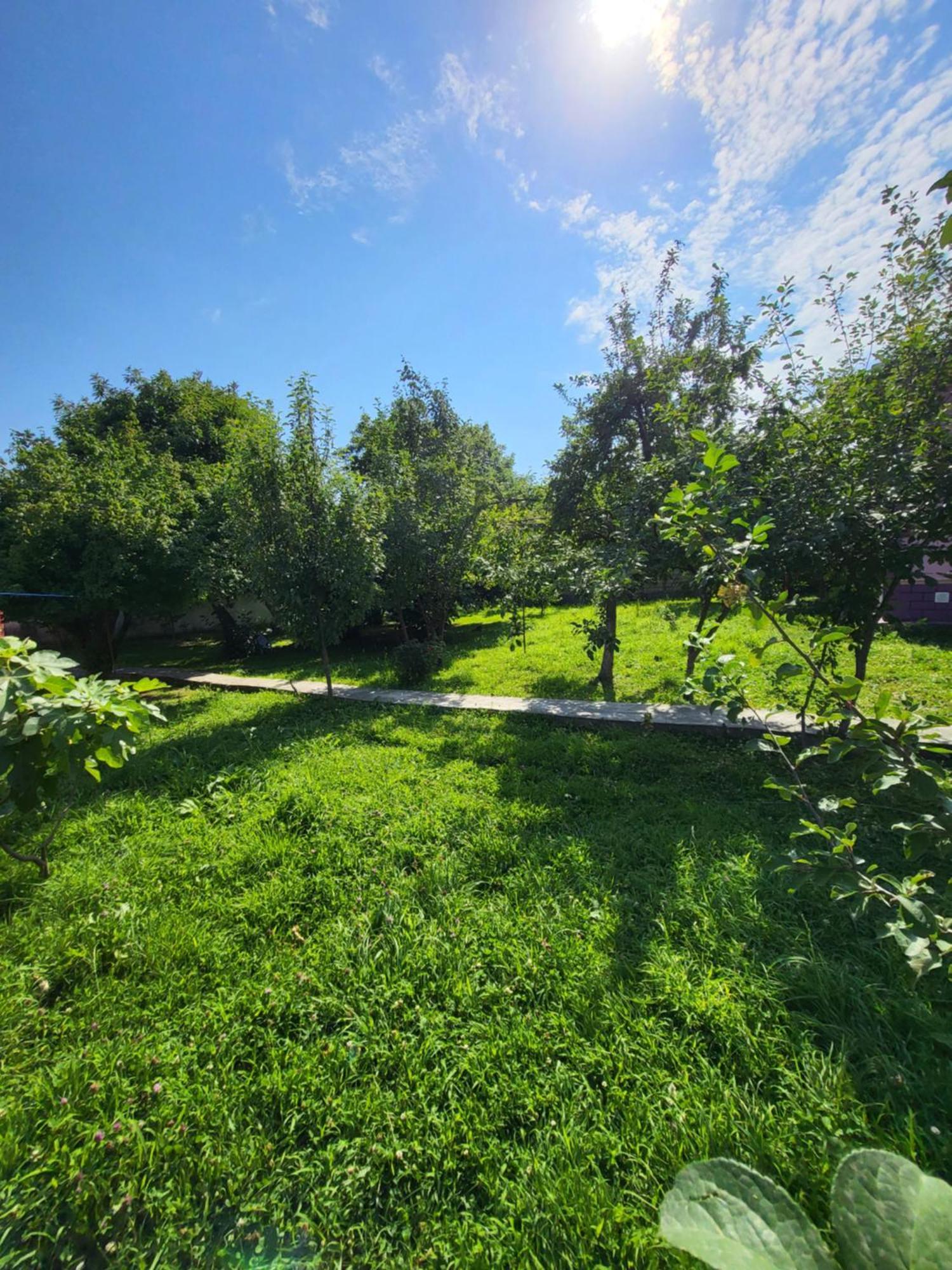 Gabala Garden Hostel Room photo